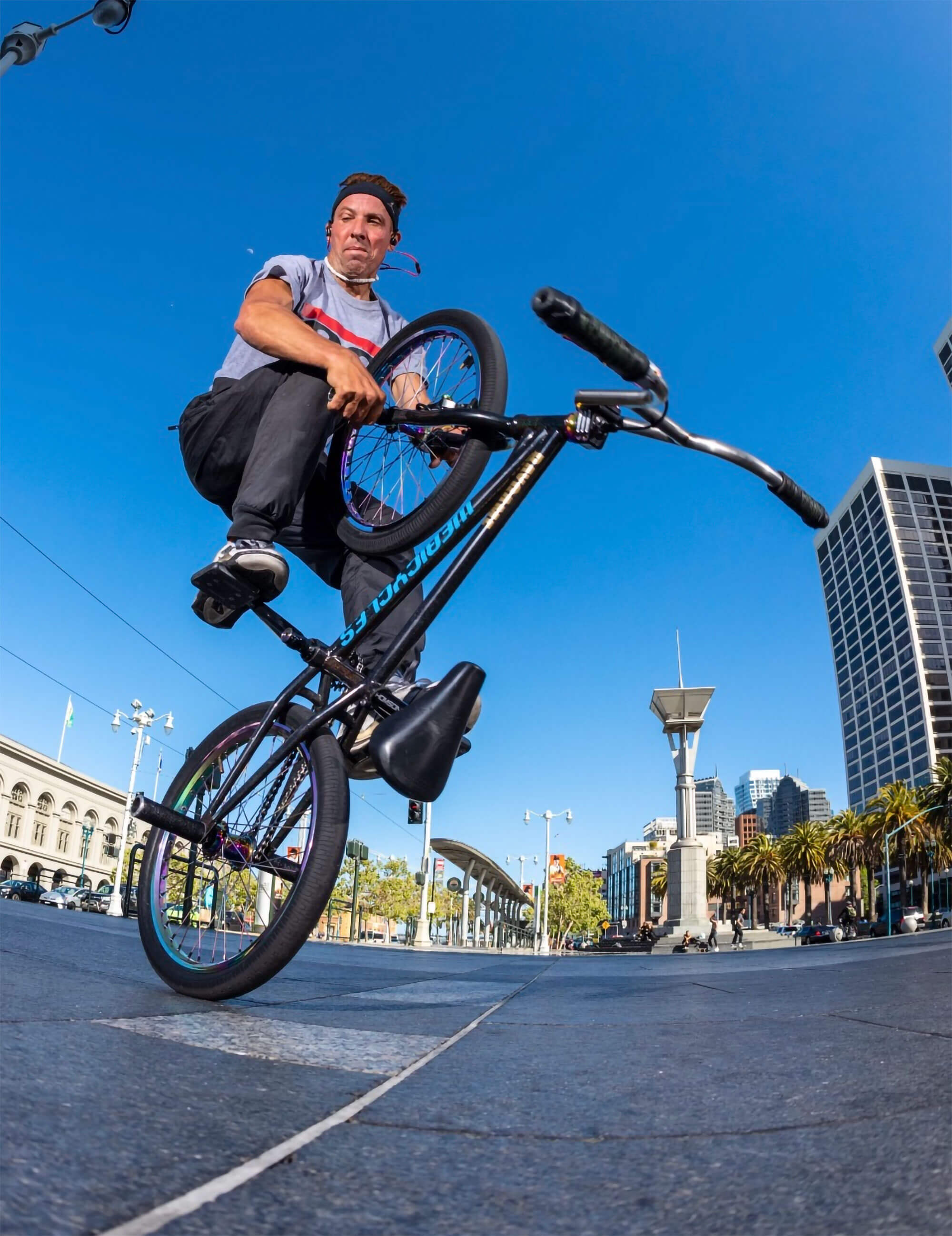 Flatland Assassins